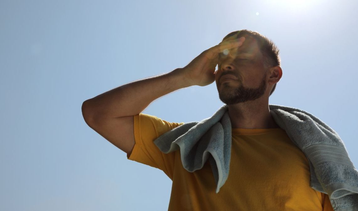 Calor Nuevo LeÓn | La Silla Regia