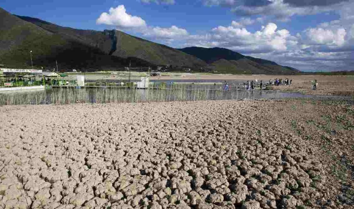 Nuevo León | La Silla Regia