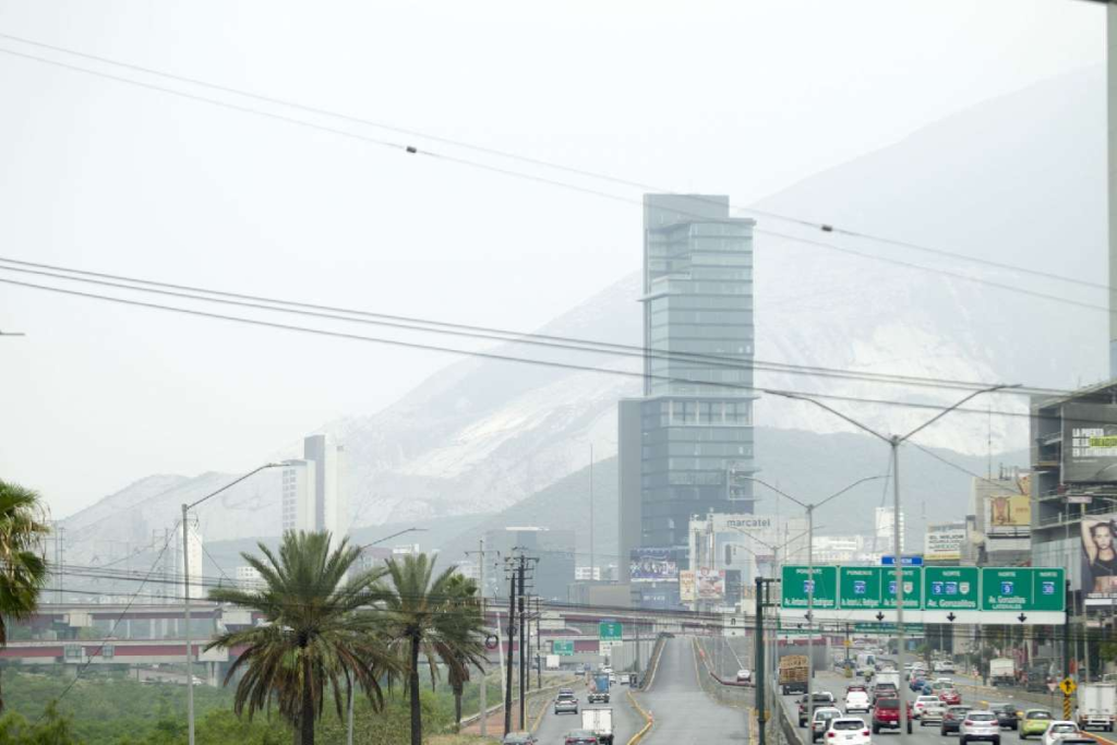 Image | La Silla Regia | La Silla Regia
