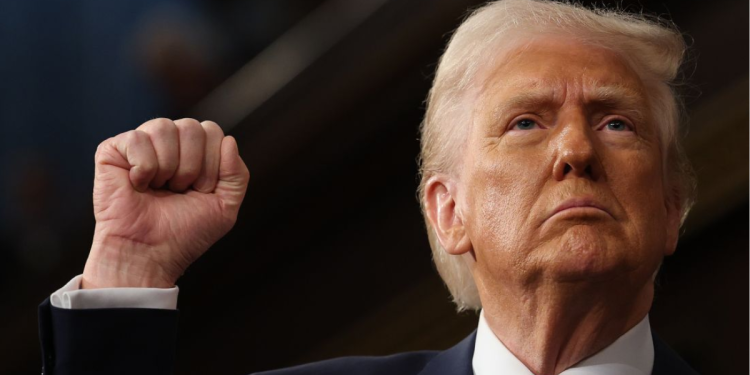 Donald Trump | La Silla Regia Donald Trump | La Silla Regia