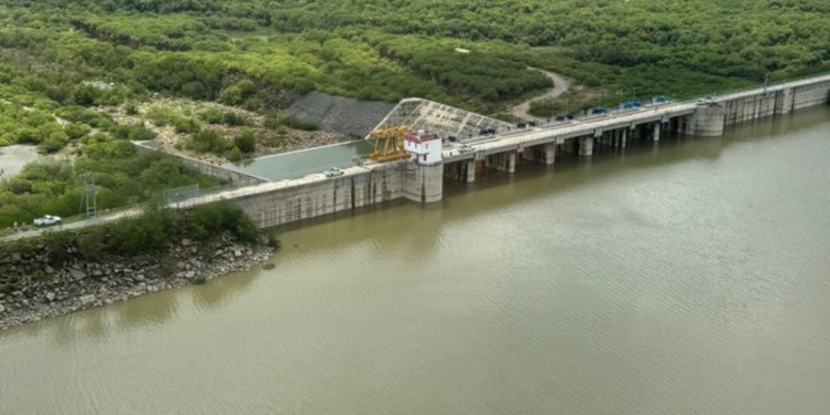 Cuchillo | La Silla Regia