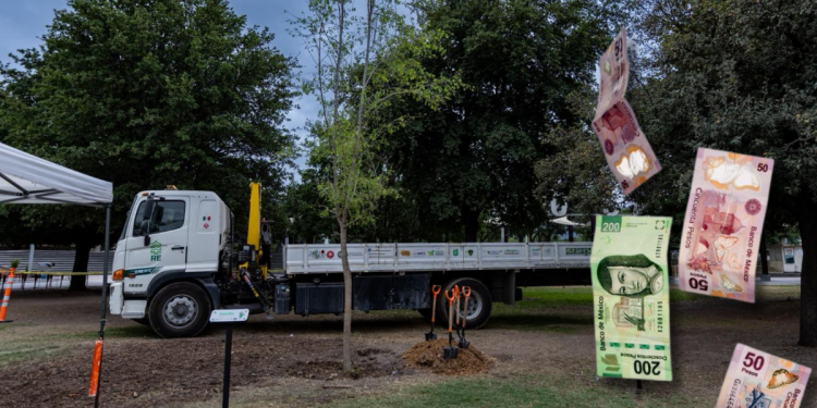 Samuel García | La Silla Regia Samuel García | La Silla Regia