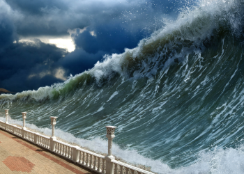 Tsunami | La Silla Regia Tsunami | La Silla Regia