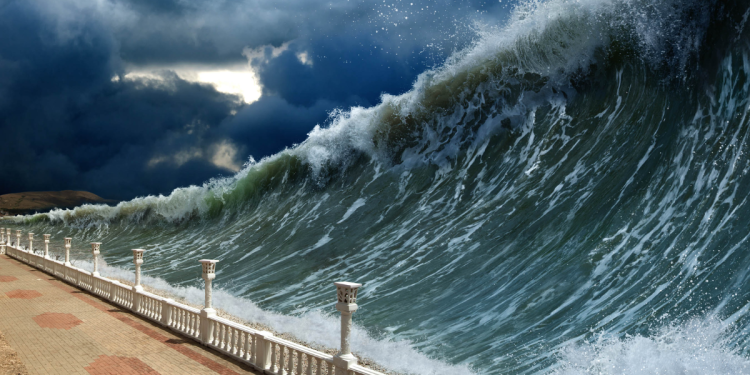 Tsunami | La Silla Regia Tsunami | La Silla Regia