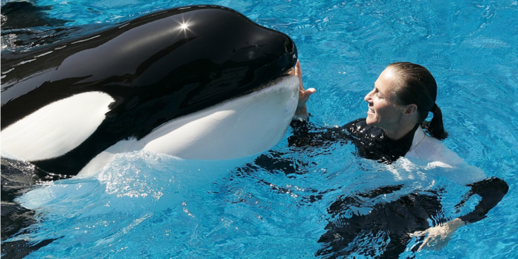 Dawn Brancheau | La Silla Regia