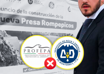Ni Profepa Ni Ayd Aclaran Desmonte De Predio En La Huasteca - La Silla Regia | La Silla Regia Huasteca | La Silla Regia