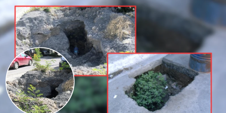 Fallas De Ayd | La Silla Regia Fallas De Ayd | La Silla Regia