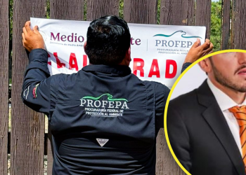 Profepa Clausura Temporalmente Zoológico La Pastora Tras Caso De La Osa Mina - La Silla Regia | La Silla Regia Profepa Clausura Temporalmente Zoológico La Pastora Tras Caso De La Osa Mina - La Silla Regia | La Silla Regia