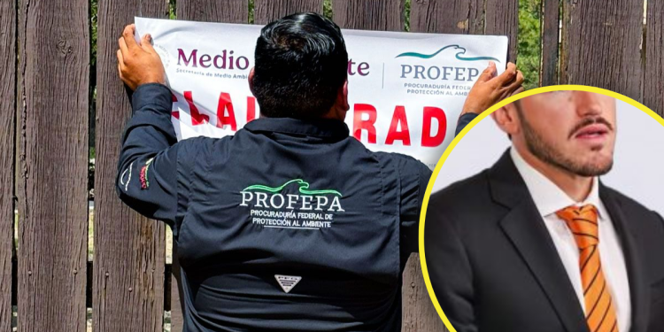 Profepa Clausura Temporalmente Zoológico La Pastora Tras Caso De La Osa Mina - La Silla Regia | La Silla Regia