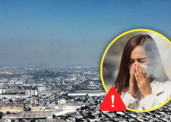 Es Nl Top 5 De Muertes Por Aire Sucio La Silla Regia | La Silla Regia Es Nl Top 5 De Muertes Por Aire Sucio La Silla Regia | La Silla Regia