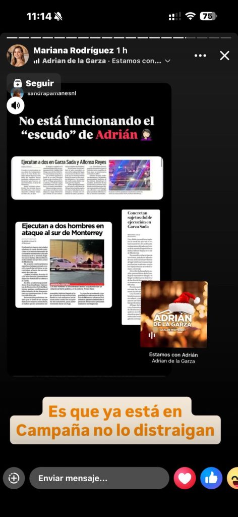 Ignorancia-de-mariana-fuerza-civil-delitos-de-alto-impacto-seguridad-estatal