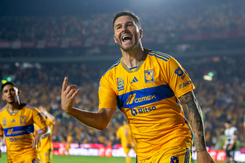 Image | La Silla Regia | La Silla Regia