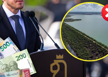 Demora Estado La Reparación Del Cuchillo 1 Por Más De Un Año Y El Dinero La Silla Regia | La Silla Regia