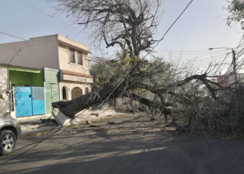 Vientos-fuertes-protección-civil-monterrey-nuevo-león | La Silla Regia