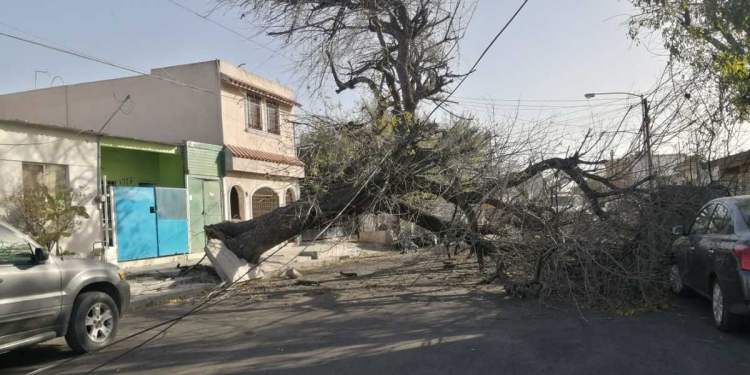 Vientos-fuertes-protección-civil-monterrey-nuevo-león | La Silla Regia