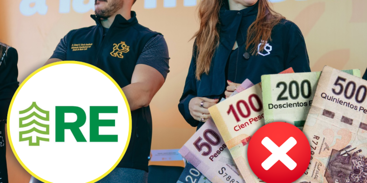 La Silla Regia 9m De Pesos Para La Campaña Fosfo Fosfo Pero Nada De Árboles | La Silla Regia