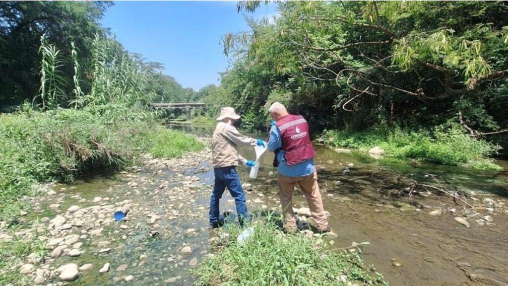 Investiga Conagua Proliferación De Maleza En La Presa La Boca | La Silla Regia