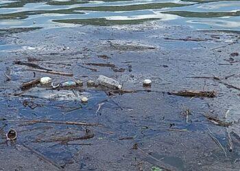 Polluted Water with Floating Trash: Plastic Bottles, Rings and Debris Scattered on the Surface and Along the Shore. | La Silla Regia
