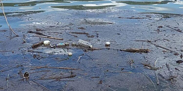 Polluted Water with Floating Trash: Plastic Bottles, Rings and Debris Scattered on the Surface and Along the Shore. | La Silla Regia