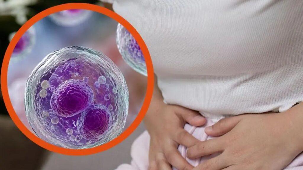 Bloque 2- Julio 6 | La Silla Regia Close-up Image of Purple Cells Circled in Orange Beside a Pregnant Woman Holding Her Belly, Illustrating Pregnancy Biology | La Silla Regia