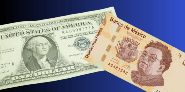 Tipo De Cambio Del Dólar En México - La Silla Regia | La Silla Regia